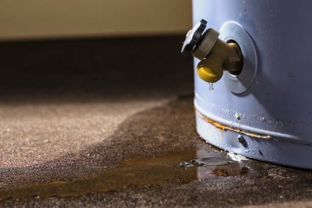 Best Basement Water Damage Restoration in USA